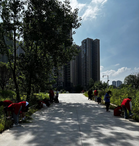 電氣工程學院學工黨支部成功開展 “踐行勞動奉獻，筑牢信仰根基” 主題黨日活動