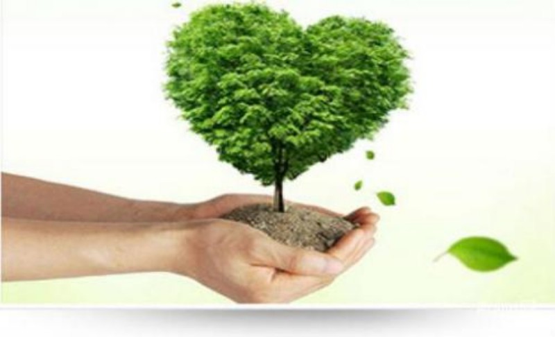 衡陽技師學院實訓中心2019年廢舊設備處理項目競價成交結果公告